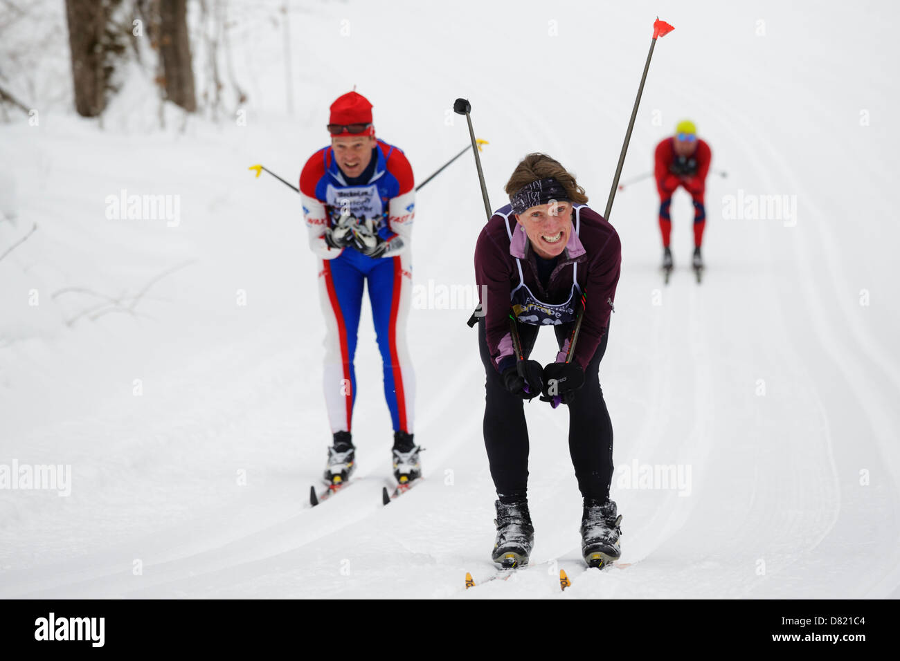 Classic style skiers tuck and glide down a hill on the trail between Cable and Hayward Wisconsin during the American Birkebeiner Stock Photo