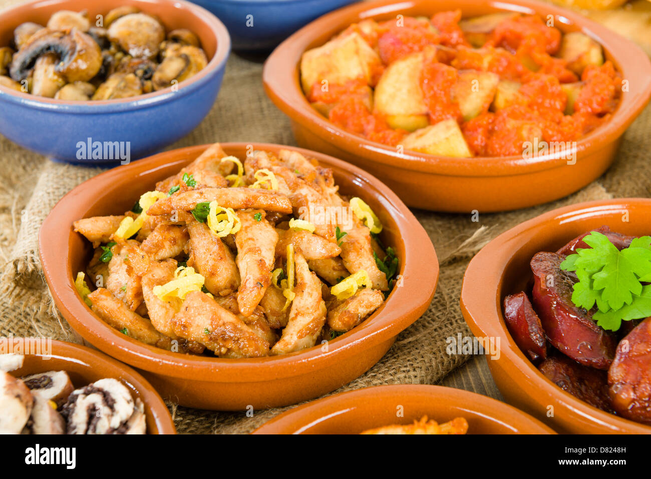 Tapas - chorizo al vino, gambas pil pil, patatas bravas, albondigas, setas al ajillo, pollo al limon, rollitos de pollo. Stock Photo