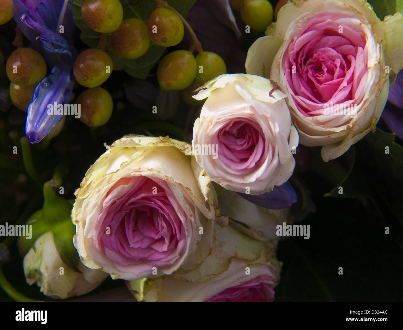 floral bouquet Stock Photo