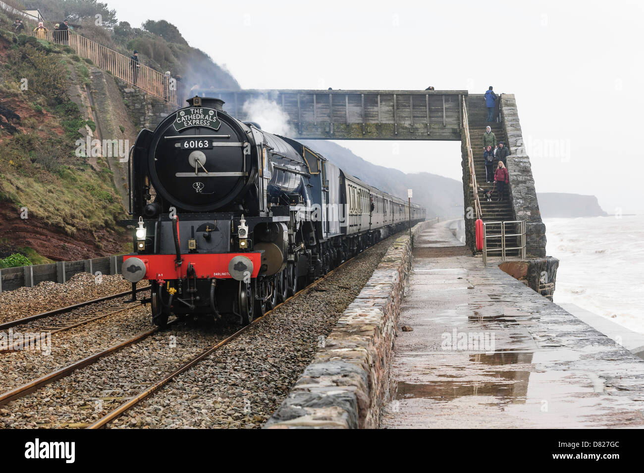 The Cathedrals Express train hauled by steam locomotive 60163 Tornado passes under a footbridge near Dawlish south Devon UK. Stock Photo