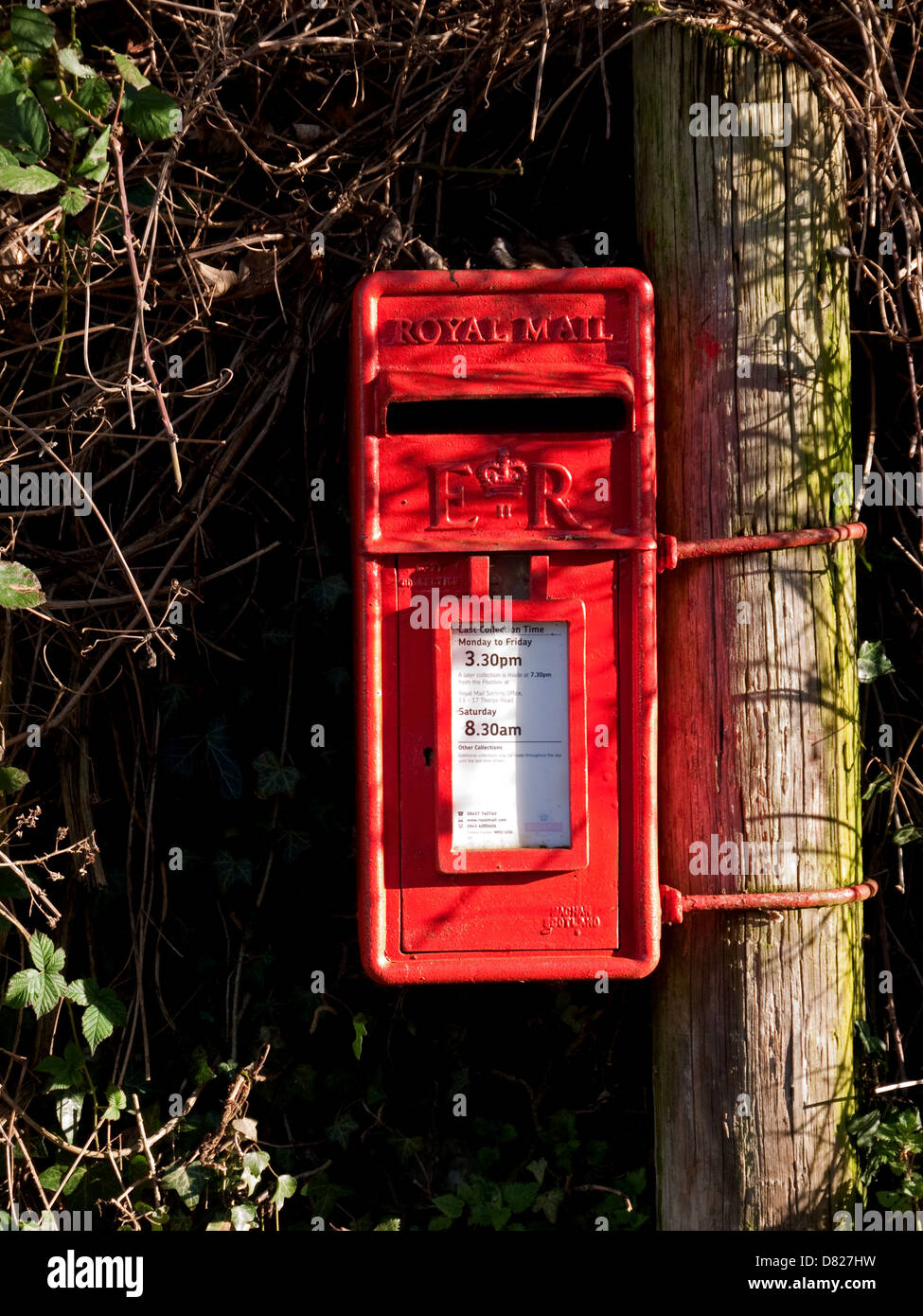 Rural Royal Mail Red Post Box attached to a telegraph pole in Coltishall, Norfolk, England Stock Photo