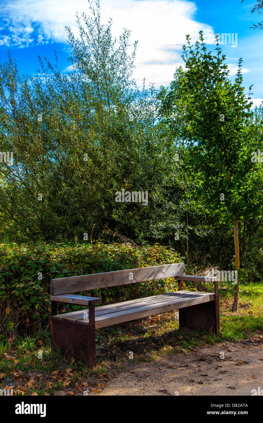 Old empty wooden bench in the forest Stock Photo - Alamy