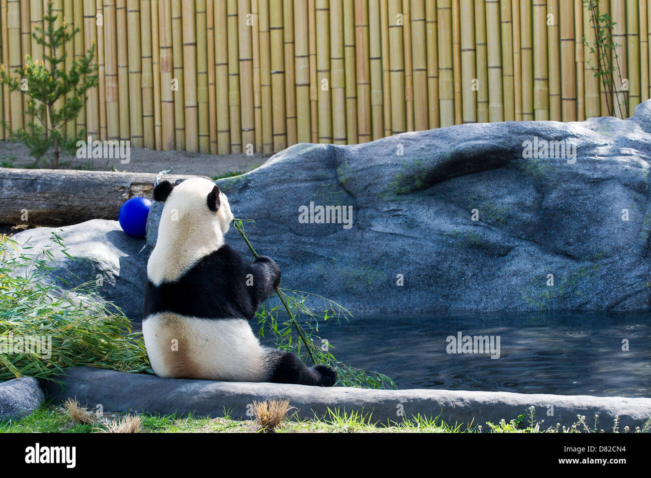 Sinibomb hi-res stock photography and images - Page 18 - Alamy