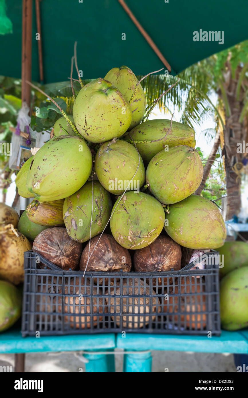 Coconuts for sale, Isla Mujeres, Yucatan Peninsula, Quintana Roo, Mexico Stock Photo