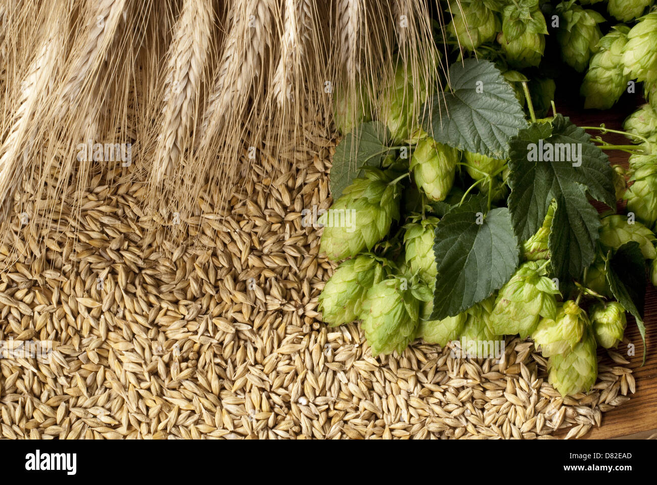 raw material for beer production Stock Photo Alamy