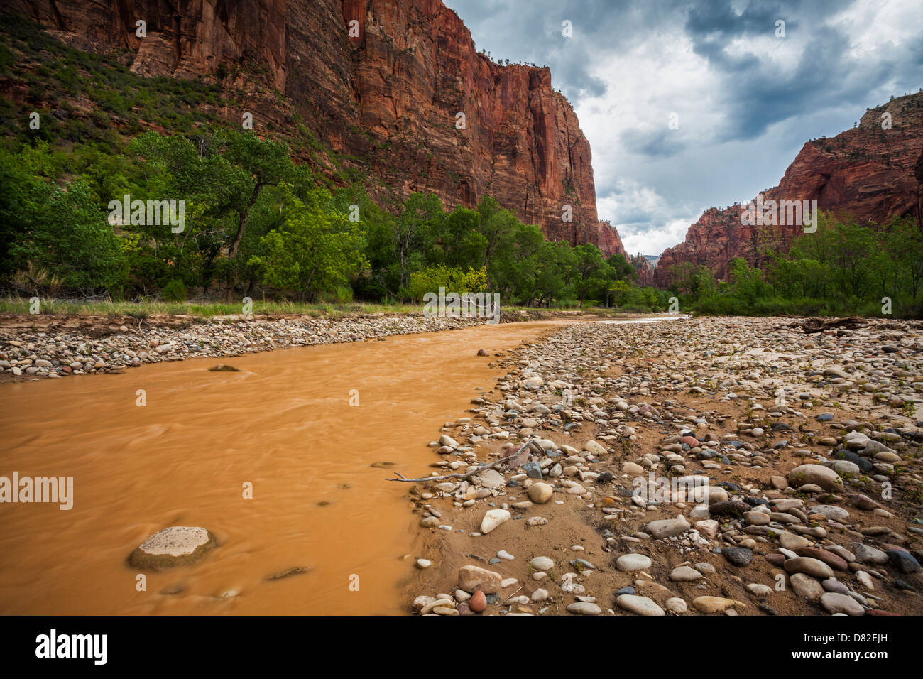 Big Bend and Virgin River, Zion National Park, Utah The river is muddy