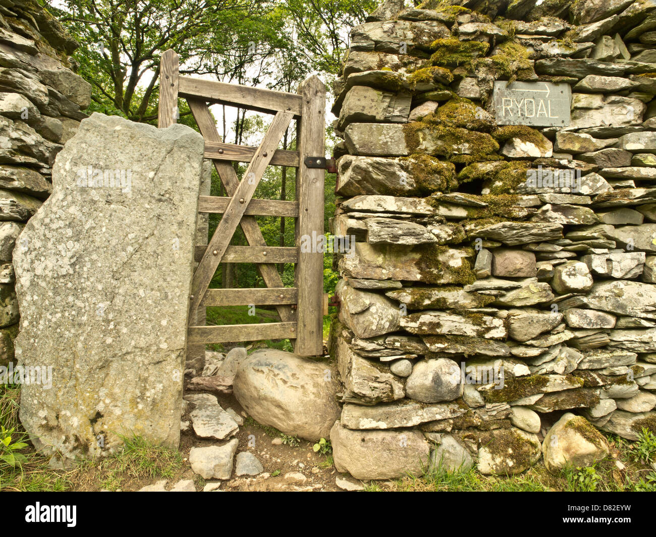 Hedge made as Dry stone wall with a gate at Ridal popular holiday distortion in Lake District, Cumbria, UK Stock Photo