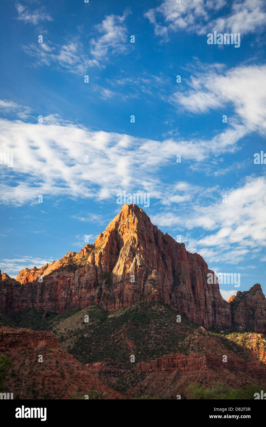 Late Afternoon at Zion National Park, Utah Stock Photo