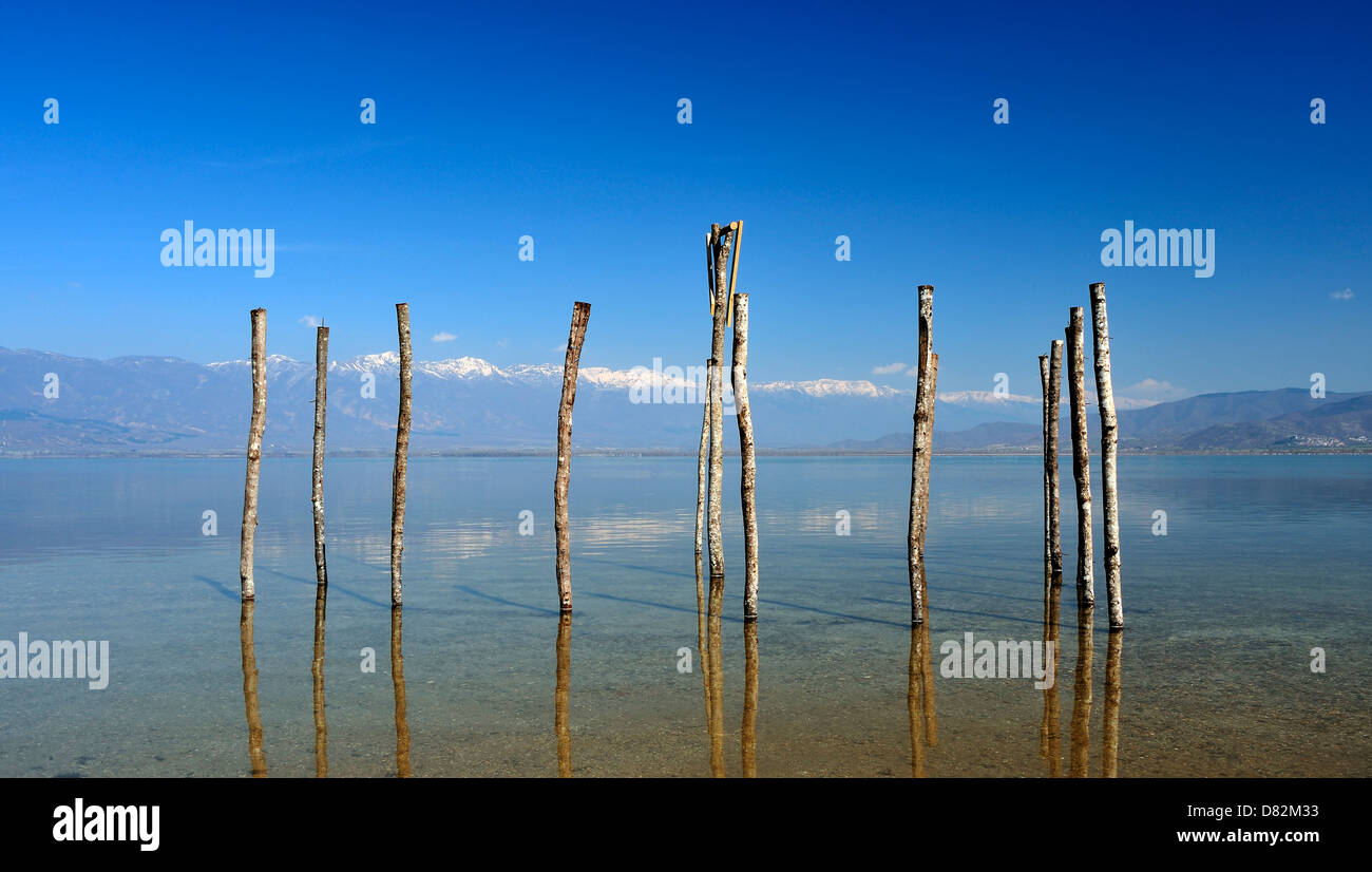 wood in water Stock Photo Alamy