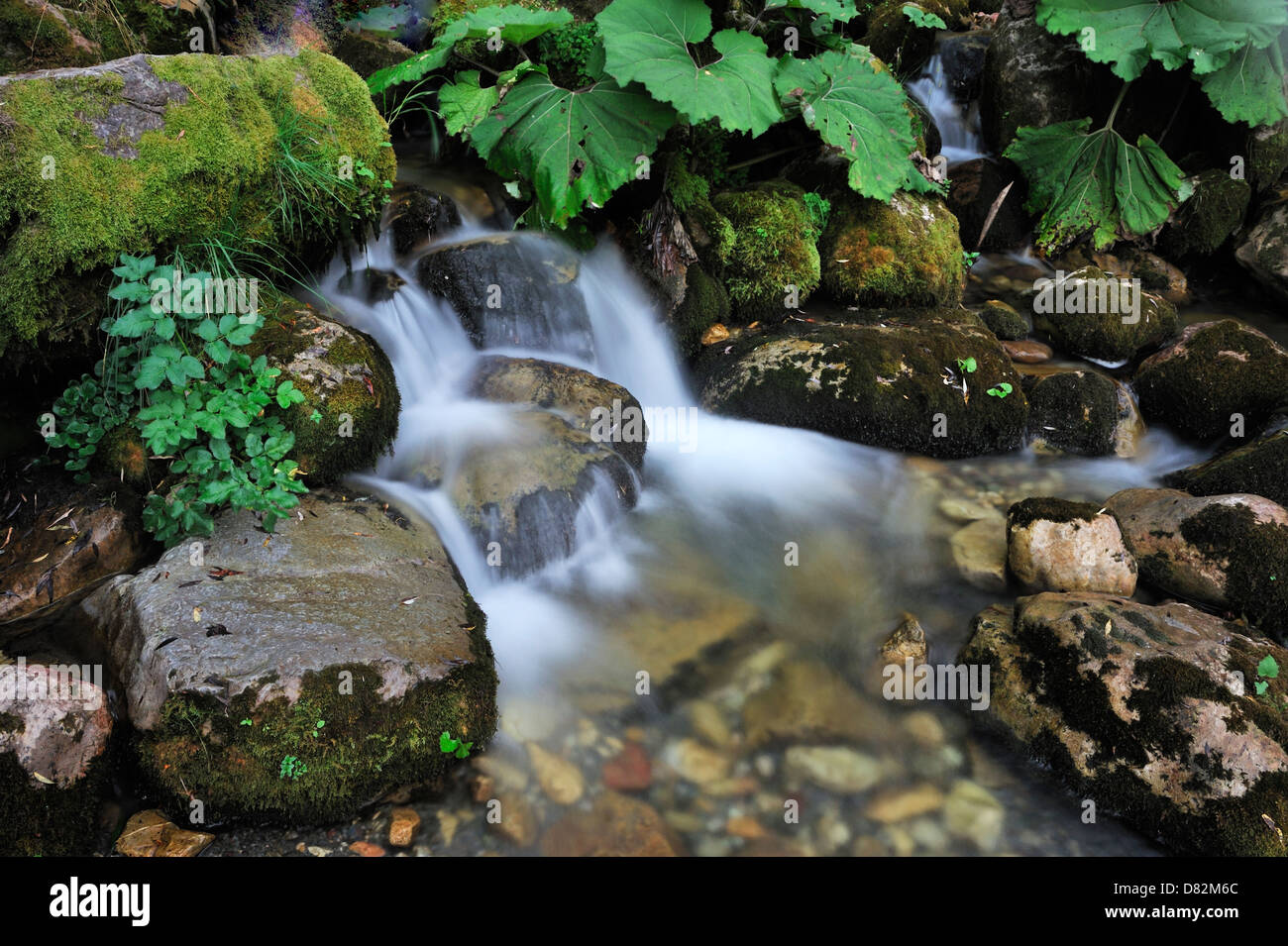 River of forest from Macedonia Stock Photo