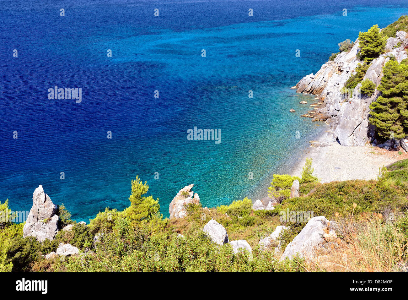 Clear sea water with stones and green tropical coastline Stock Photo