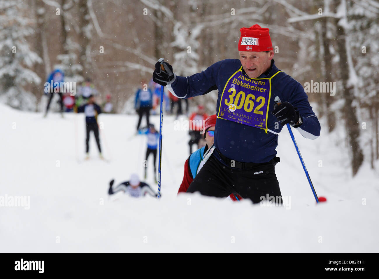 A competitor climbs a hill on the trail between Cable and Hayward, Wisconsin during the American Birkebeiner cross country race. Stock Photo