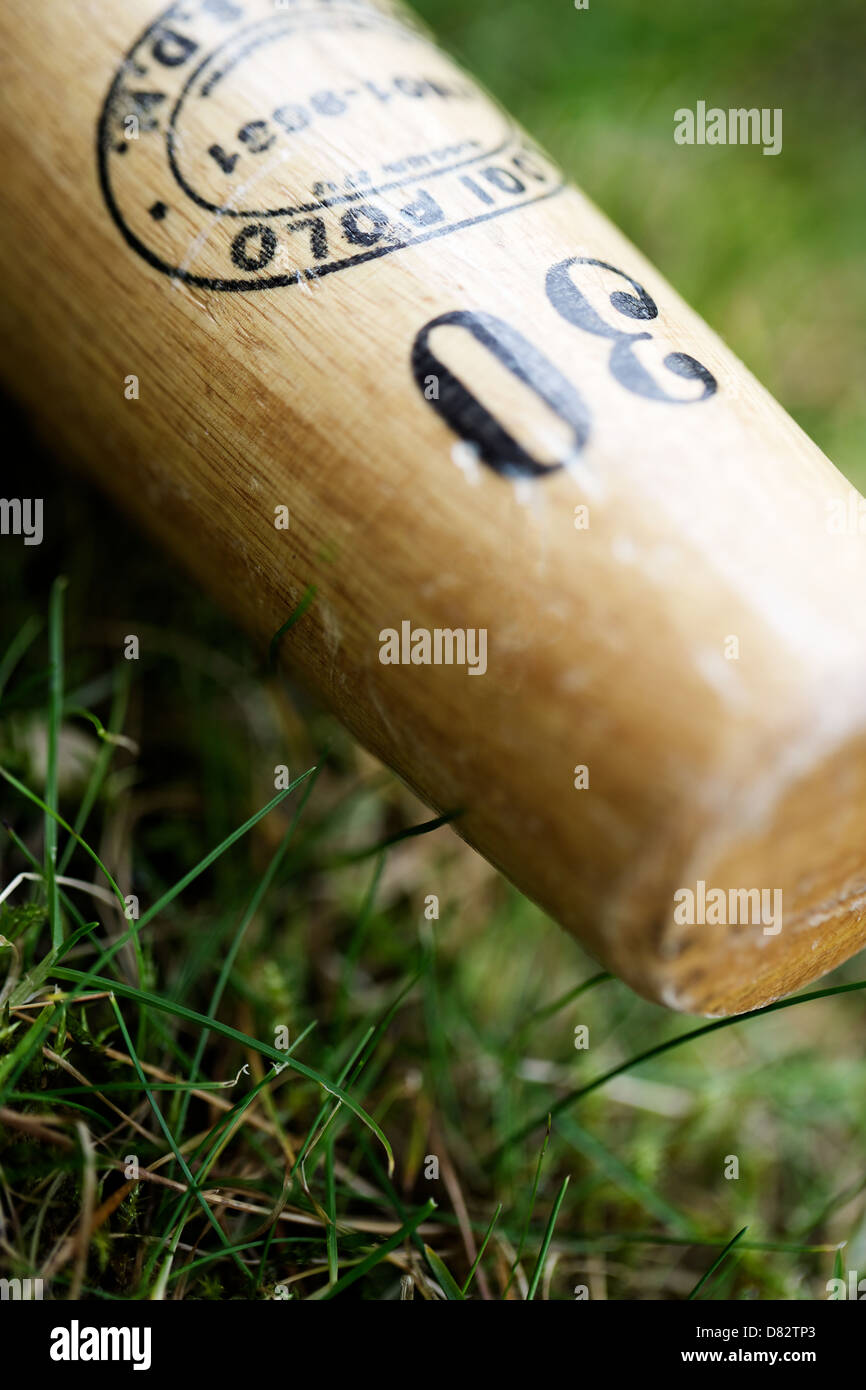 Polo mallet on the grass Stock Photo Alamy
