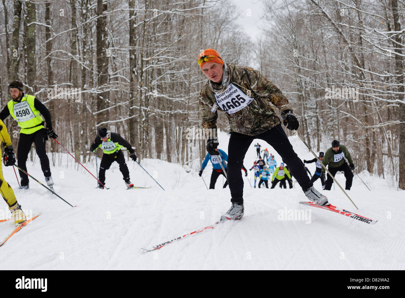 Competitors climb a hill on the trail between Cable and Hayward, Wisconsin during the American Birkebeiner on February 23, 2013. Stock Photo