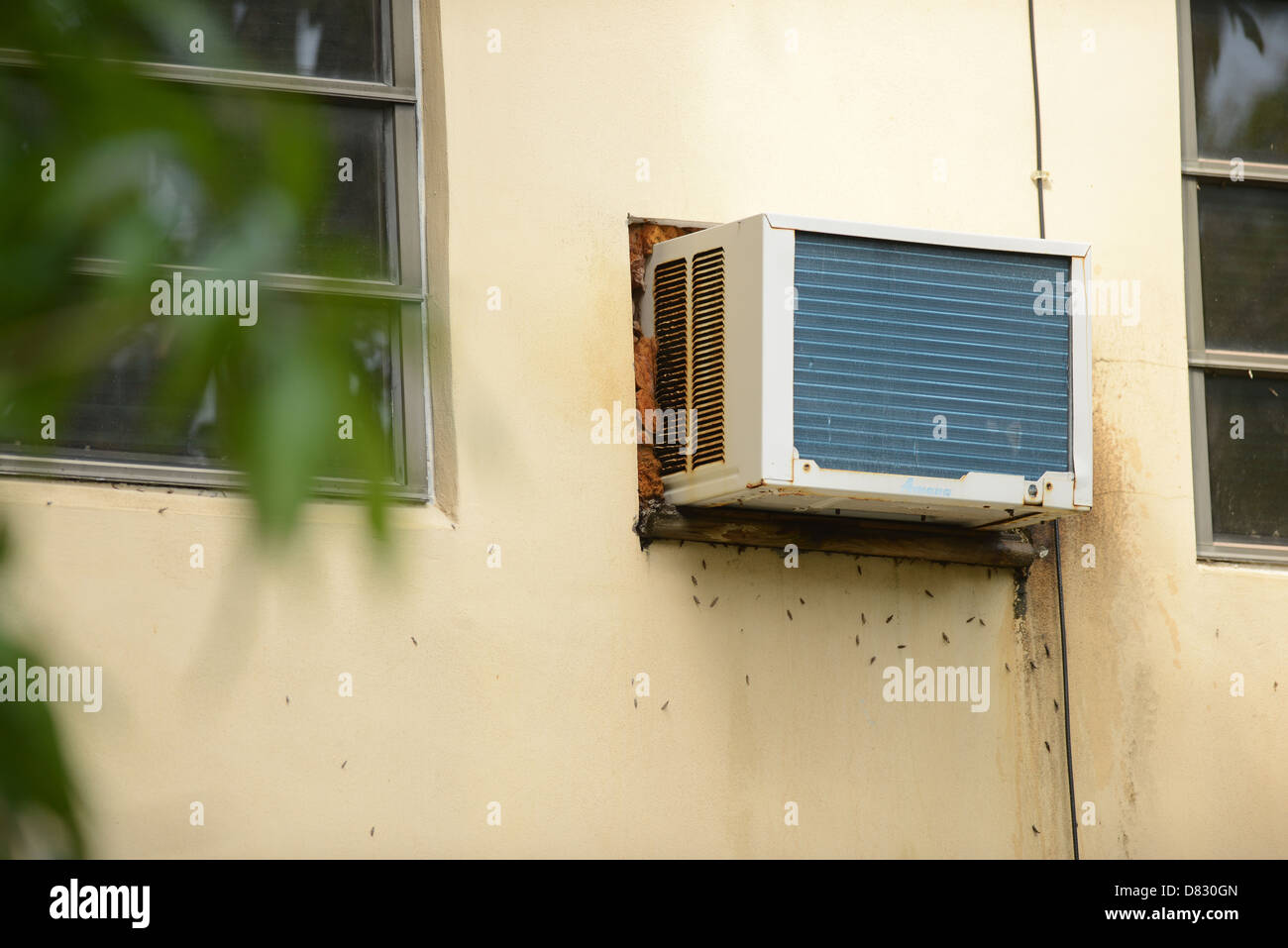 Old air conditioner with bug infestation Stock Photo Alamy