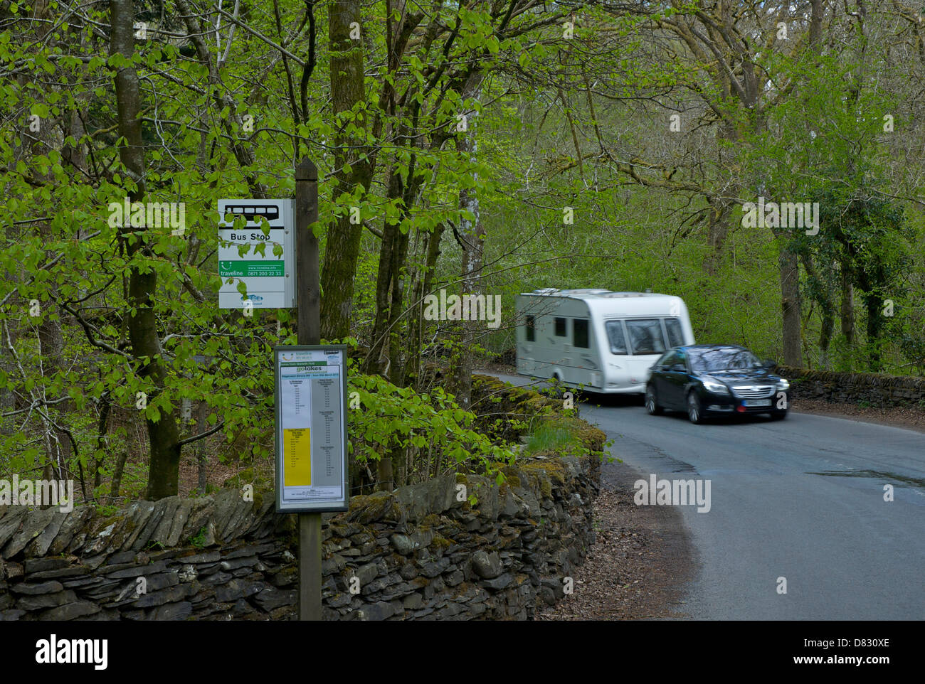 Car with caravan passing bus stop in woodland near Ambleside, Lake