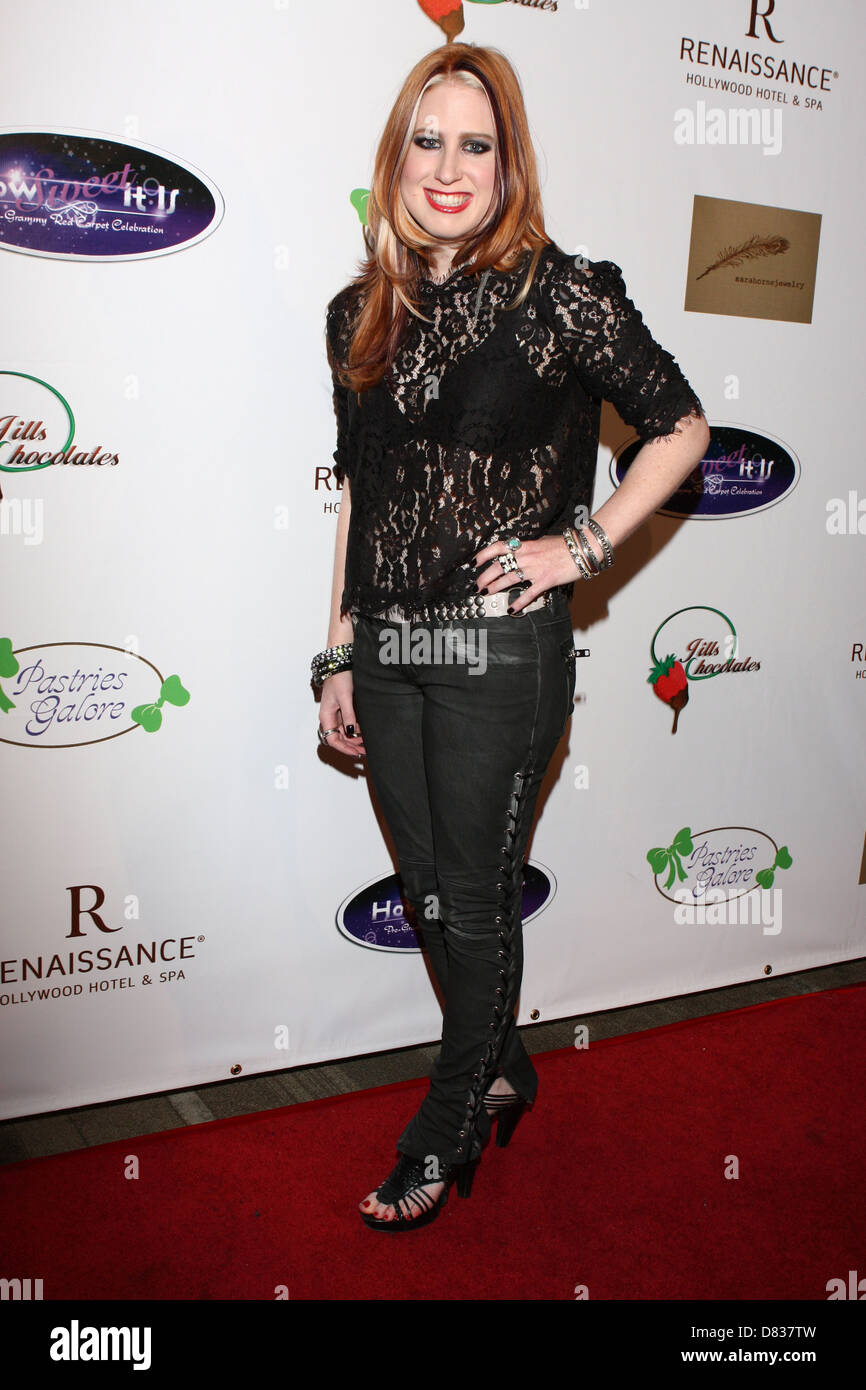 Erica Chase How Sweet It Is Pre-Grammy Red Carpet Celebration at the Renaissance Hotel Hollywood, California - 11.02.12 Stock Photo