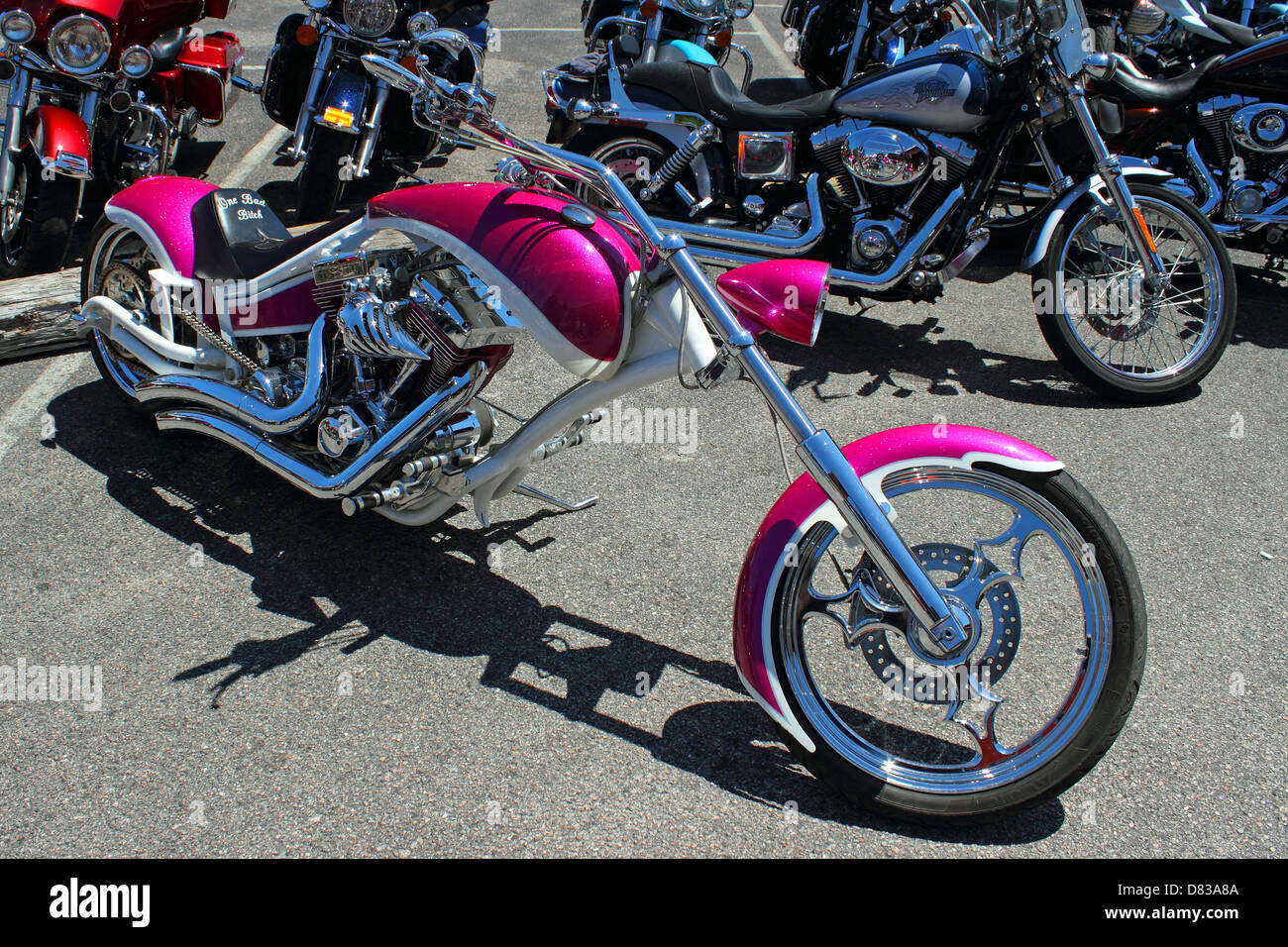 A pink Harley Davidson Chopper at Myrtle Beach Bike Week 2013, May 14th 2013 Stock Photo