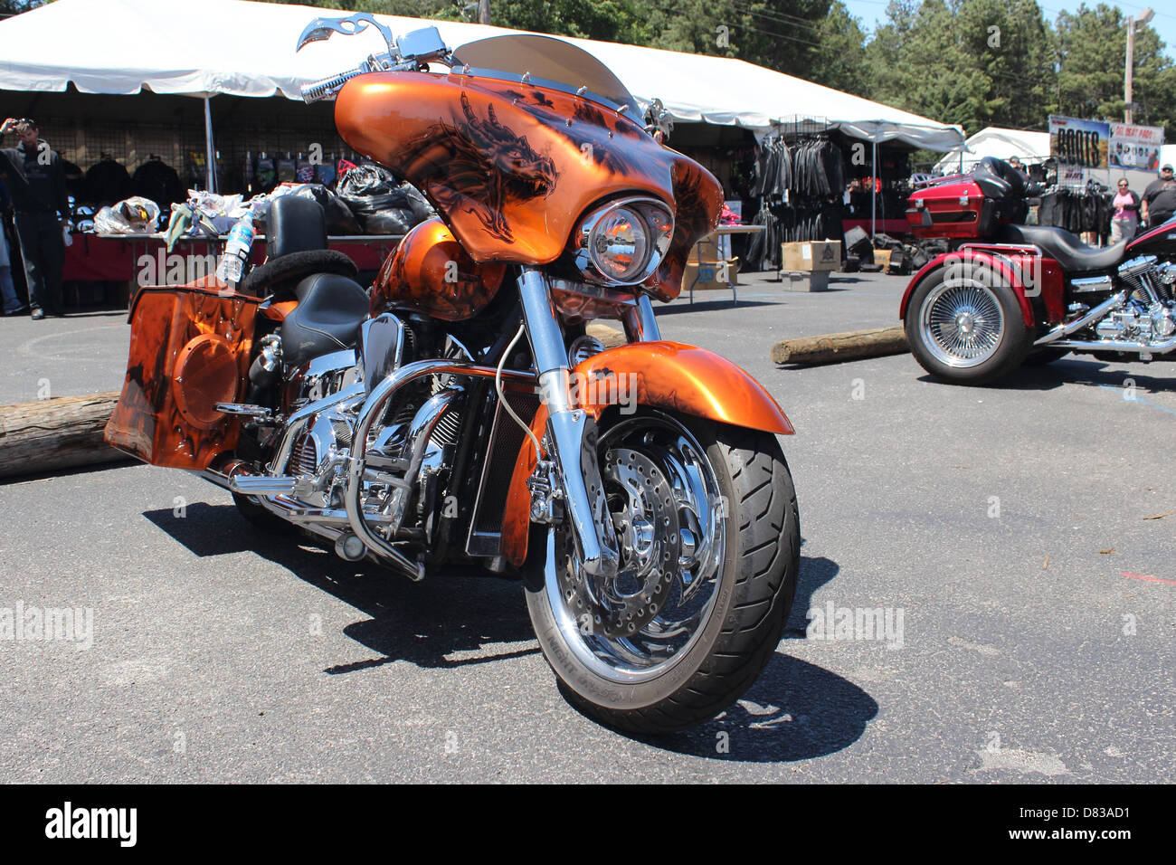 A custom Harley Davidson motorcycle with design at Myrtle Beach Bike Week 2013, May 14th 2013 Stock Photo