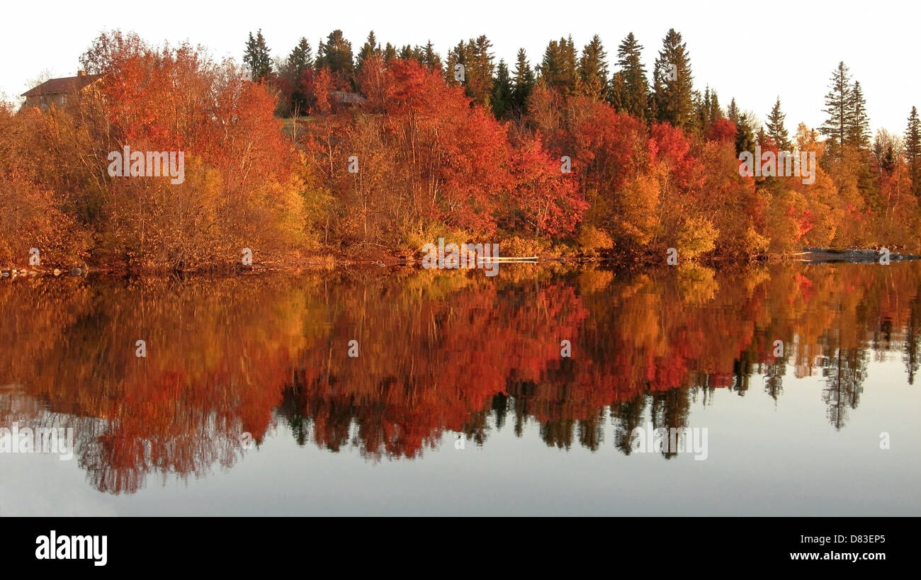 Autumn landscape of mirror lake and colorful trees Stock Photo - Alamy