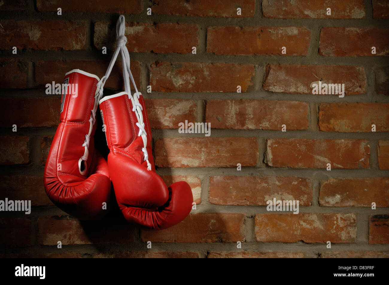 Hanging Boxing Gloves Wallpaper
