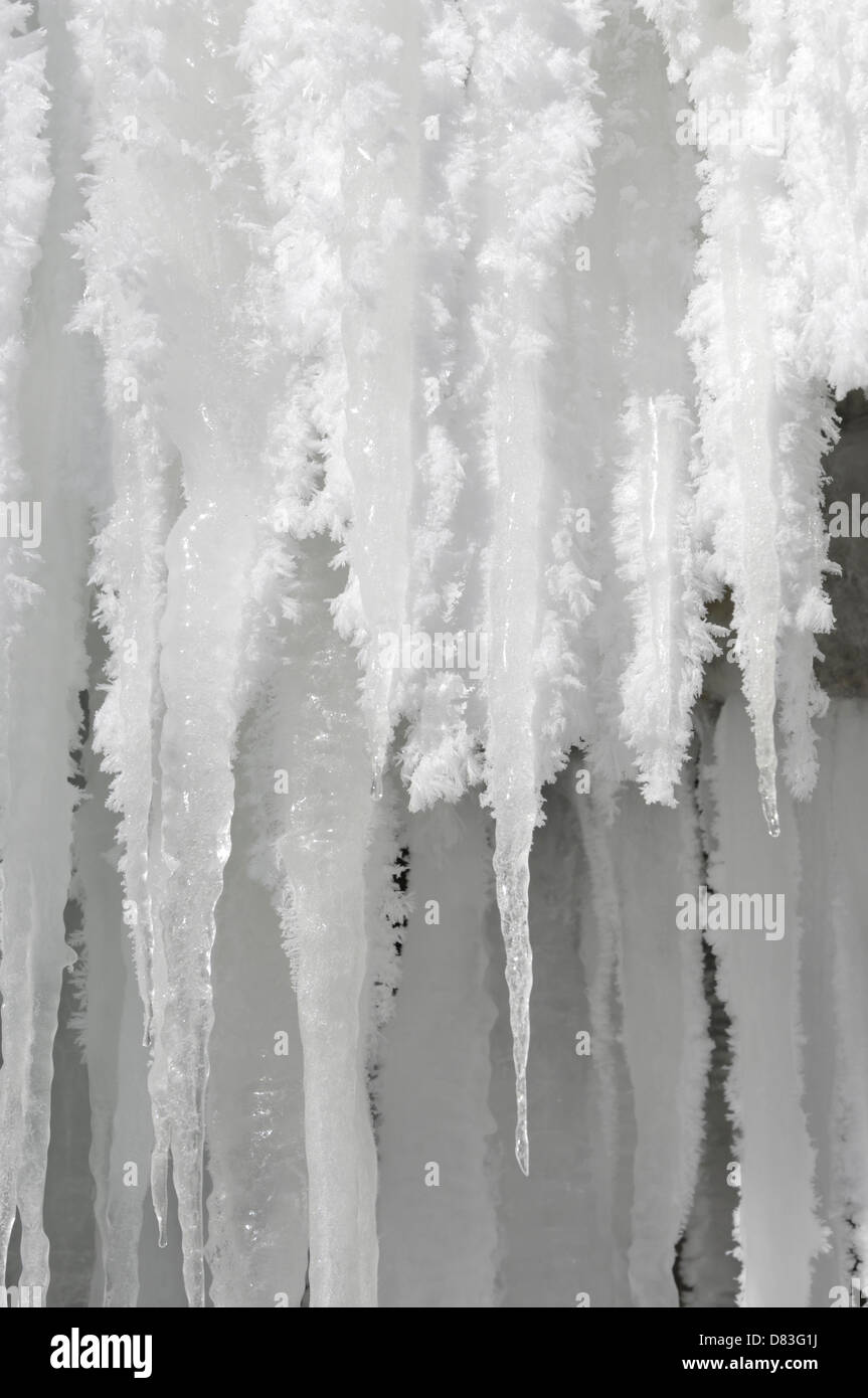Icicles with soft rime ice formation on them hanging from a frozen waterfall. Ontario Canada. Stock Photo
