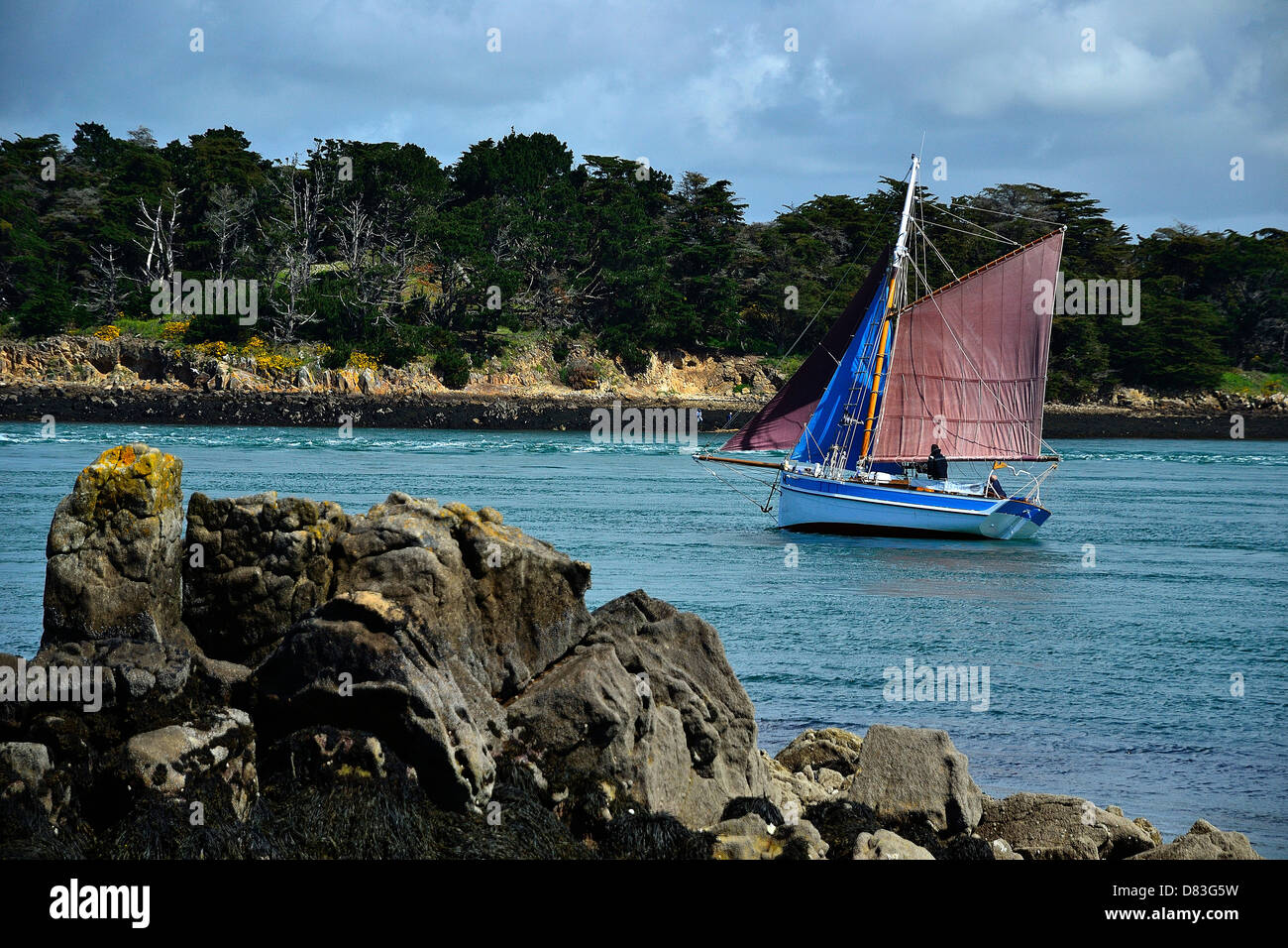 Babar, auric cutter, wooden boat, Morbihan gulf, here in front of 'Ile Longue' in Morbihan gulf, during maritime event. Stock Photo
