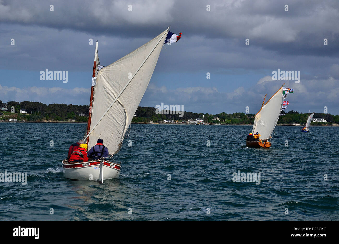 Flottilla of small sailing boats : sail and oar boats, sailing in Morbihan gulf during maritime event 'Semaine du golfe'. Stock Photo