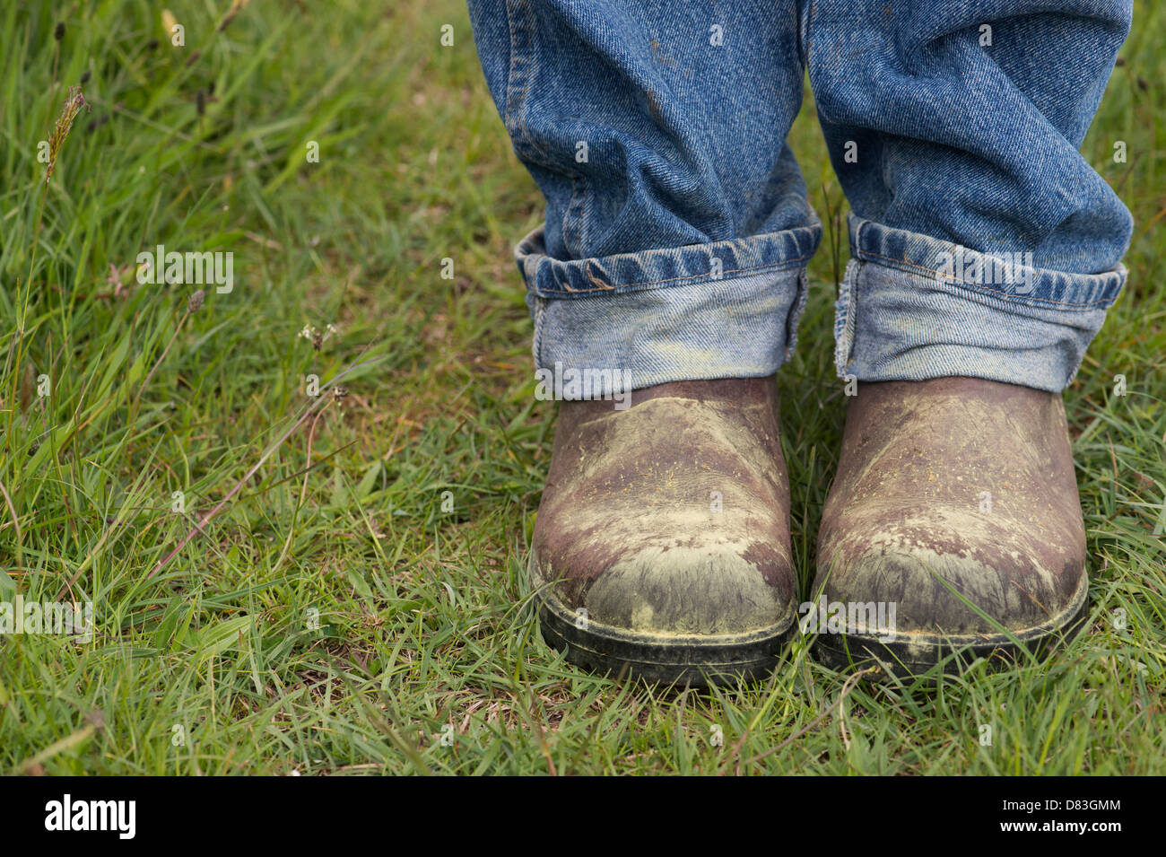 Grass pollen on boots Stock Photo Alamy