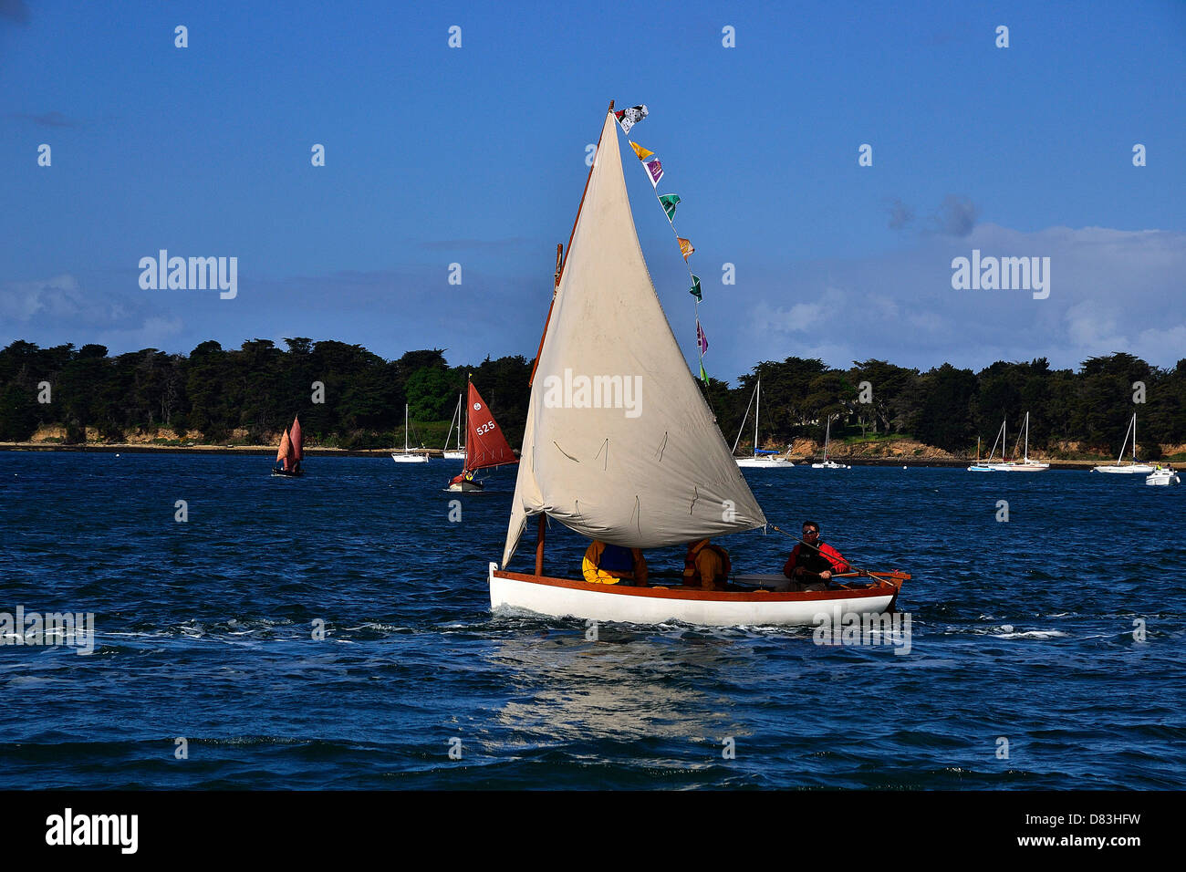 Small sailing boat, sail and oar boat sailing in Morbihan gulf, during maritime event 'Semaine du golfe'  (Brittany, France). Stock Photo