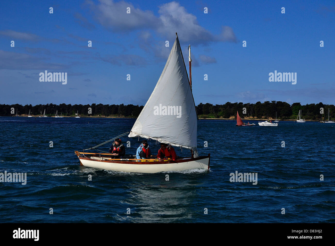 Small sailing boat, sail and oar boat sailing in Morbihan gulf, during maritime event 'Semaine du golfe'. Stock Photo