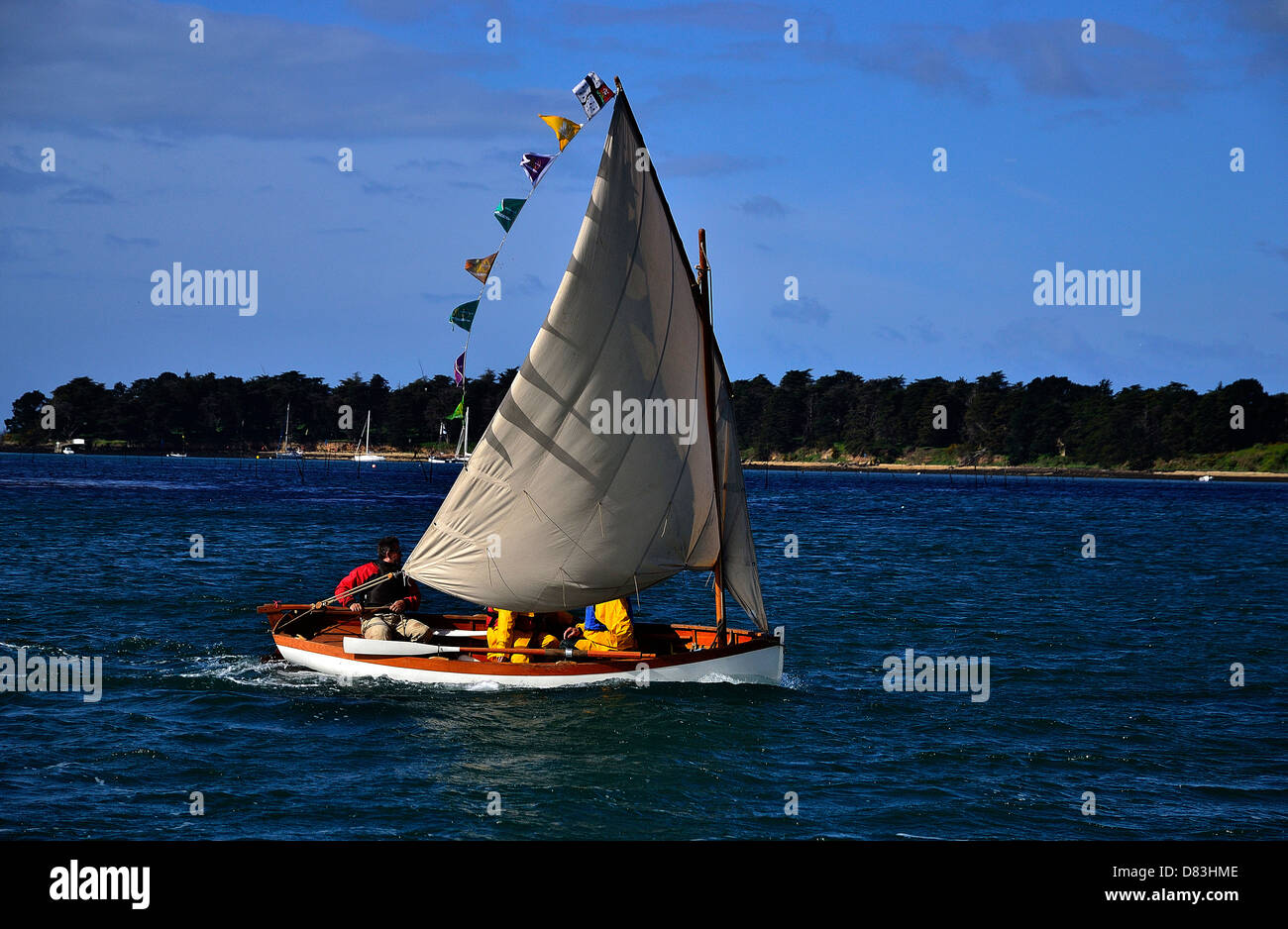 Small sailing boat, sail and oar boat sailing in Morbihan gulf, during maritime event 'Semaine du golfe'. Stock Photo