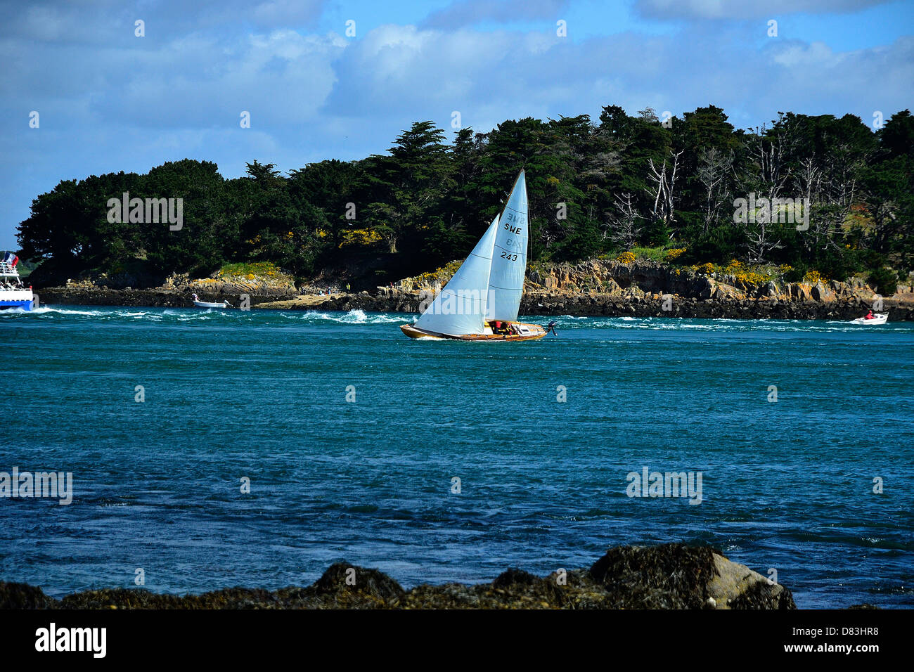 Classic yacht sailing in the Morbihan gulf, here; in front of 'Ile Longue', during maritime event 'Semaine du golfe'. Stock Photo