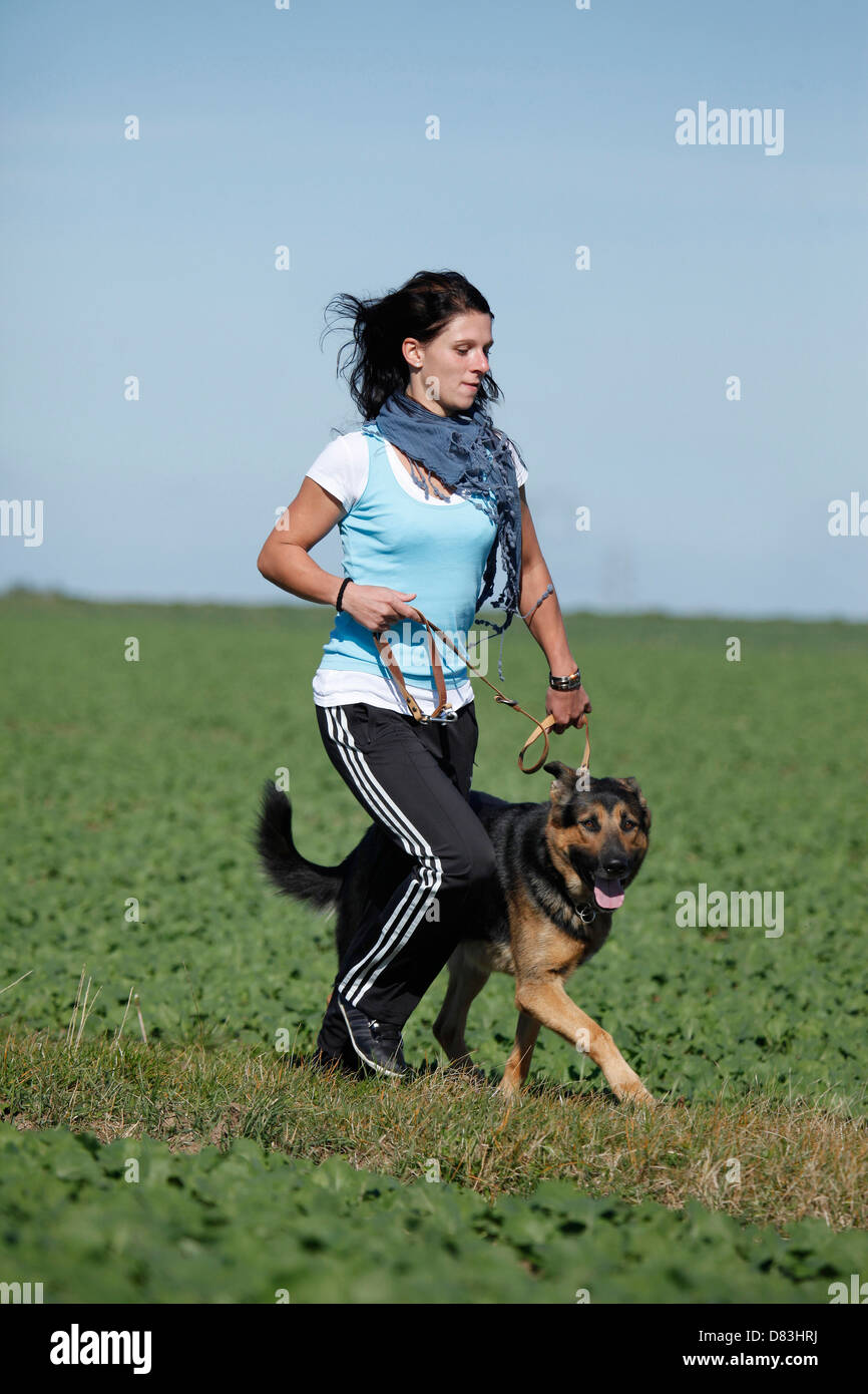 jogger with German Shepherd Stock Photo