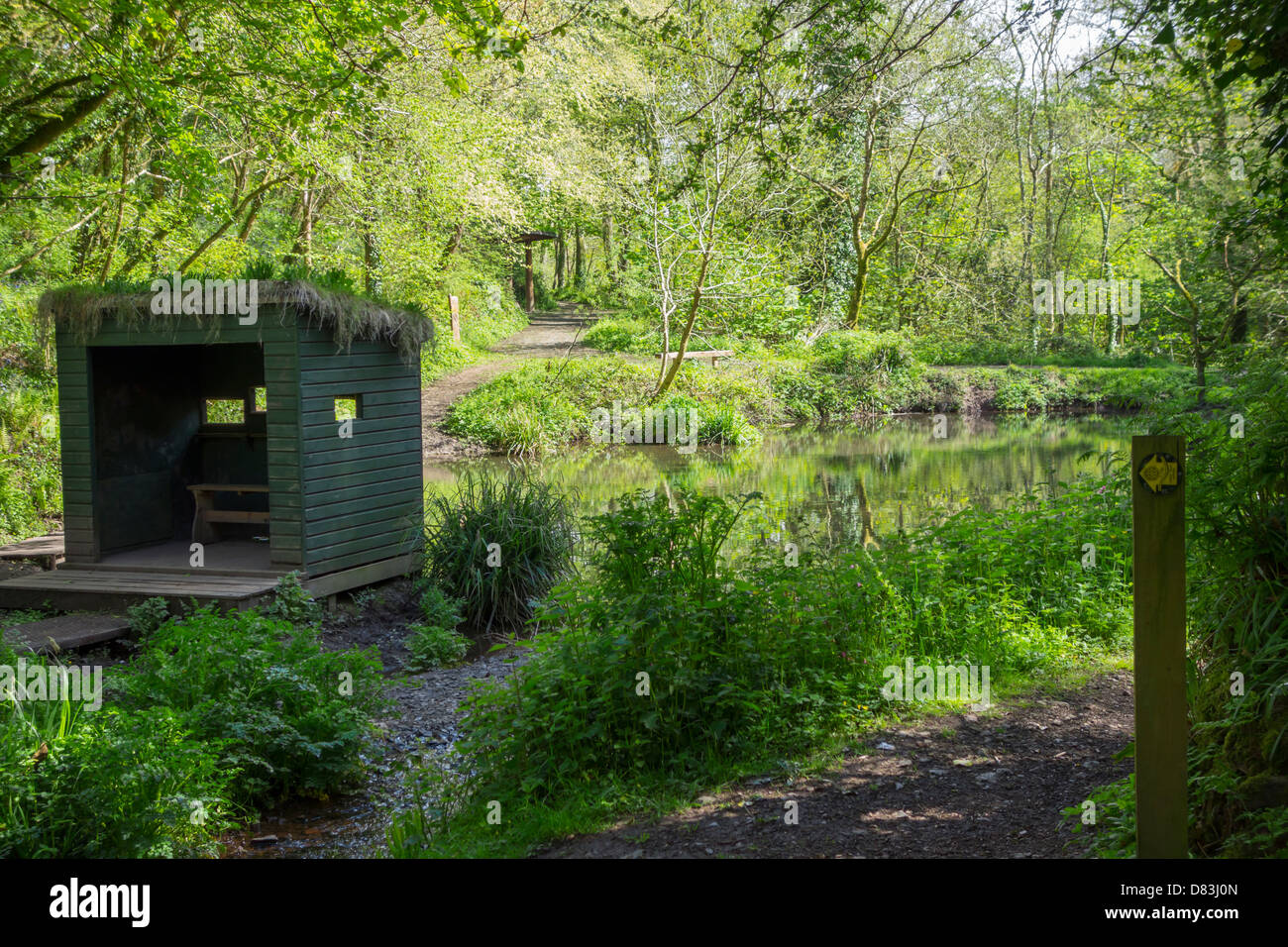Bird watching hide with a grass roof, overlooking a woodland pond. Stock Photo