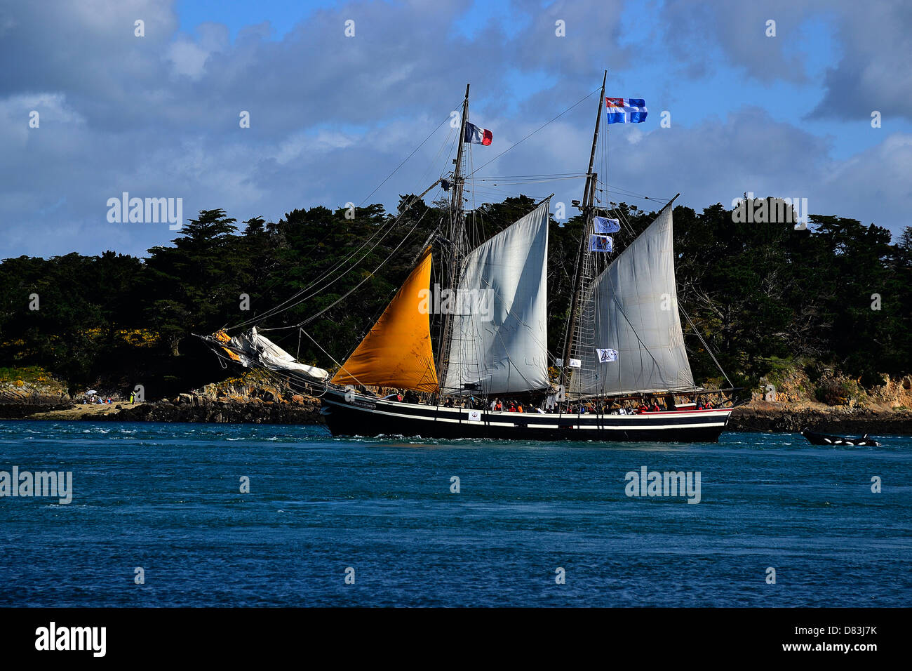 Etoile de France : topsail schooner with wooden hull, built in 1938 as a freighter for the Baltic Sea (Baltic Trader). Stock Photo