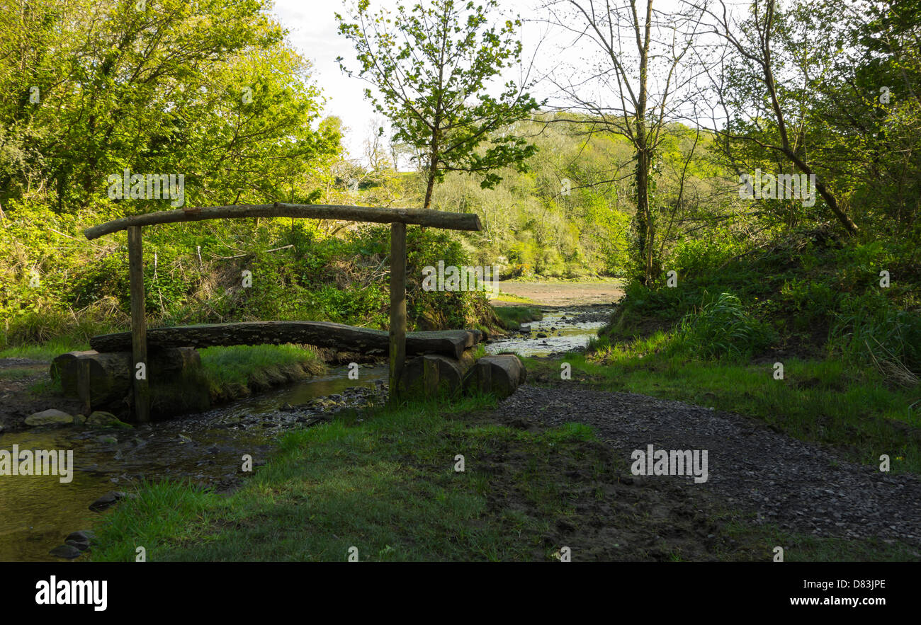 A wooden bridge crossing a woodland stream Stock Photo - Alamy