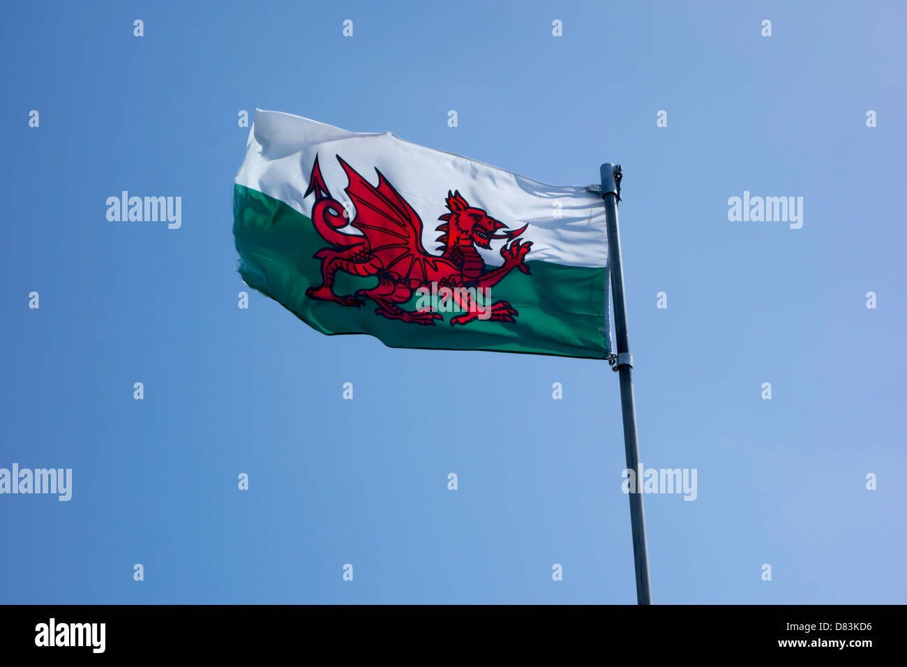 Welsh flag blowing in the wind. Stock Photo