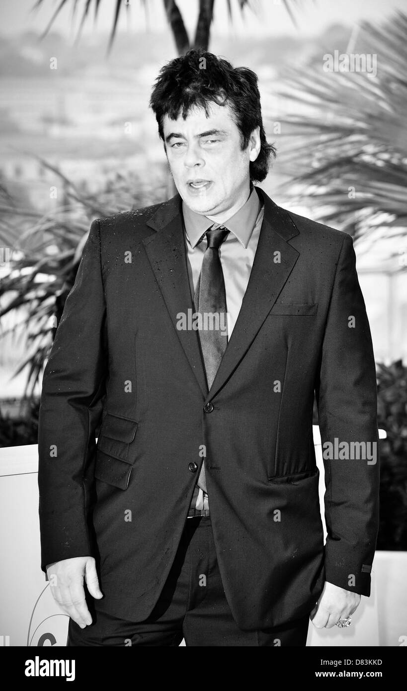 Cannes, France. 18th May 2013. Benicio Del Toro   attending the  Photocall  Jimmy P (Psychotherapy of a Plains Indian) at the 66 Cannes Film Festival in Cannes. Credit:  dpa picture alliance / Alamy Live News Stock Photo