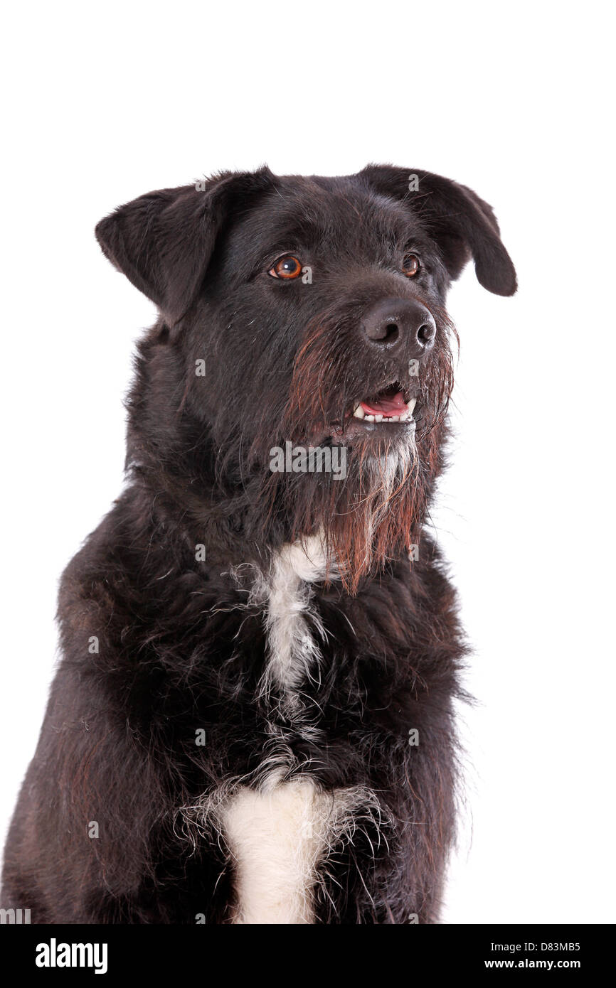 Black and white studio portraits hi-res stock photography and images ...