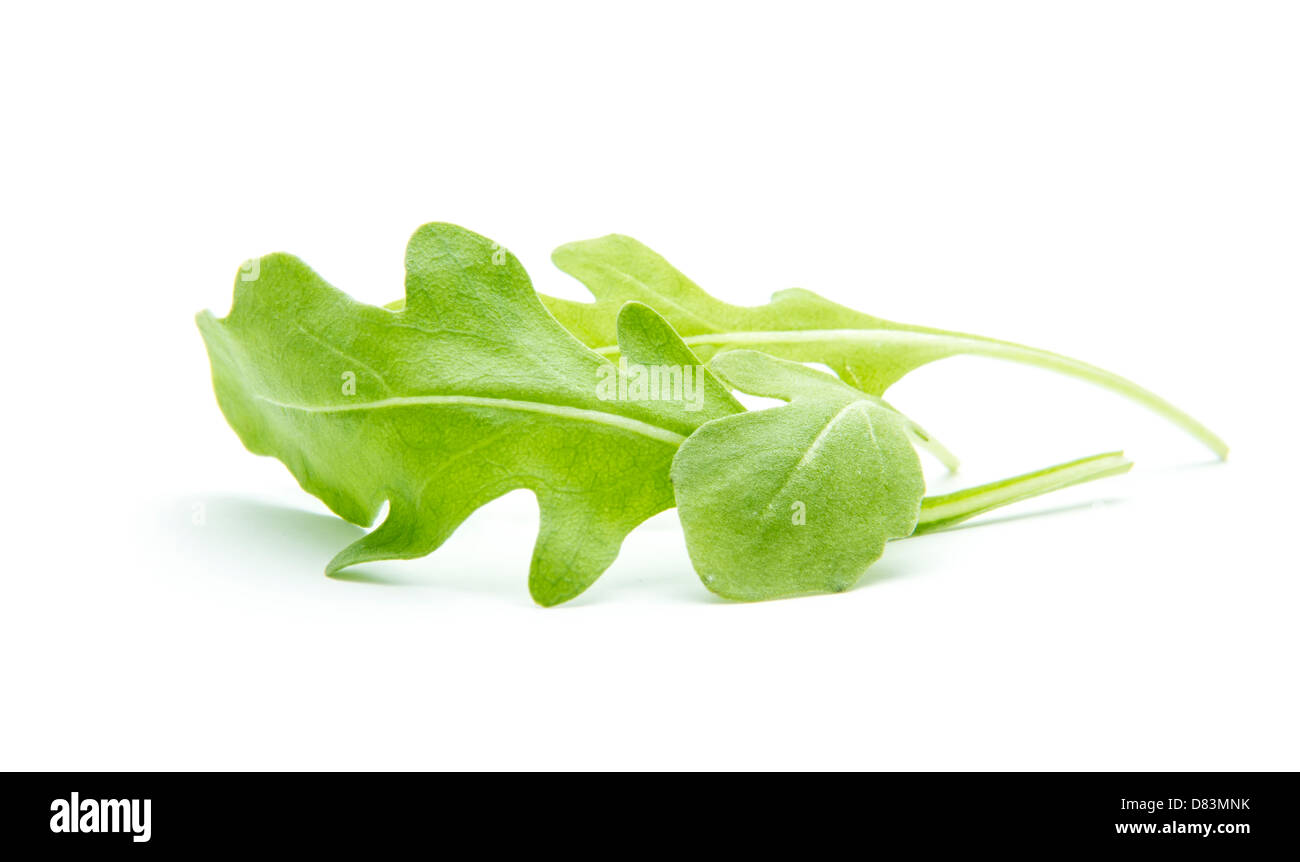 green rucola leaves isolated on white background Stock Photo