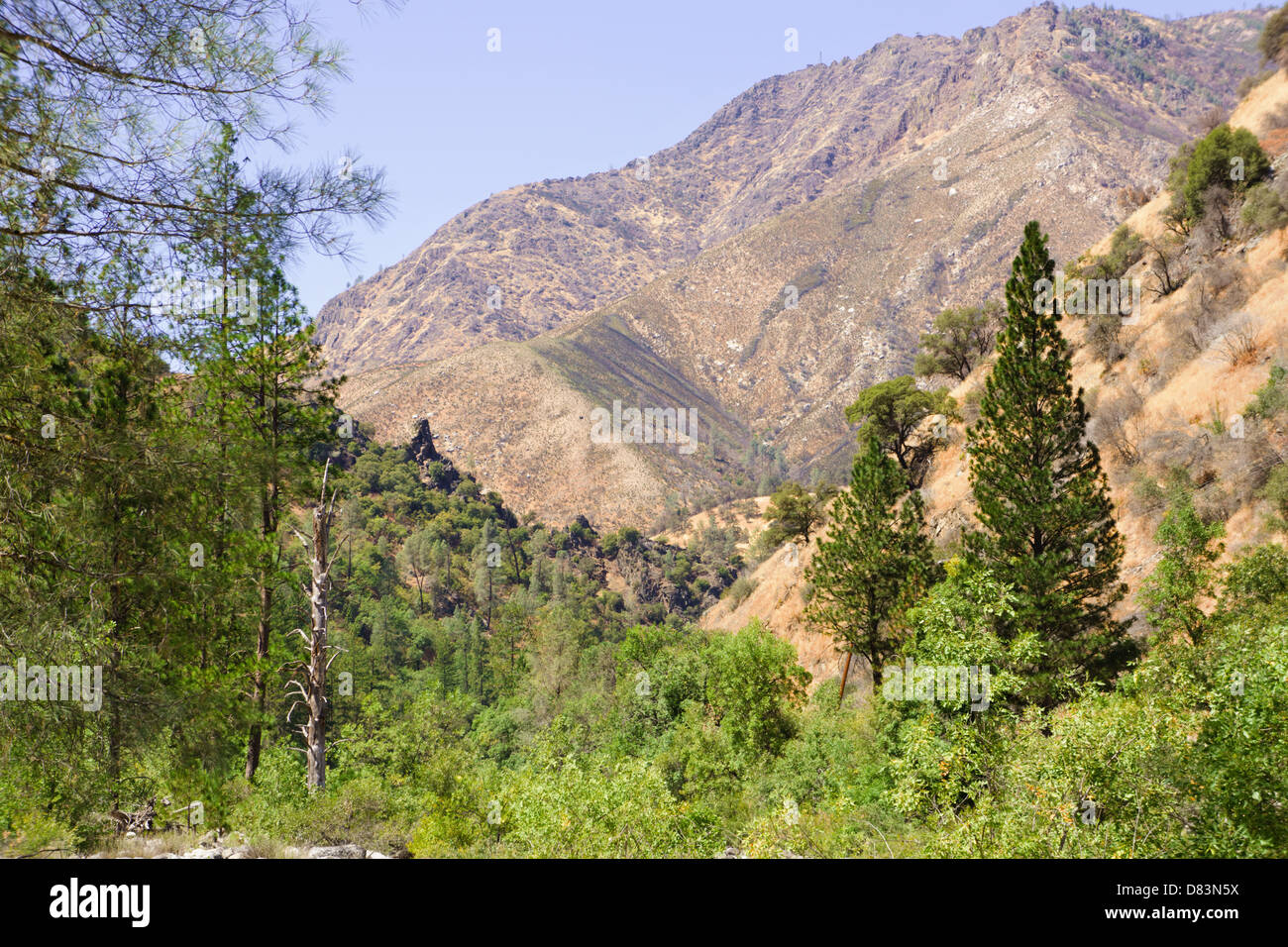 Yosemite national park valley hi-res stock photography and images - Alamy
