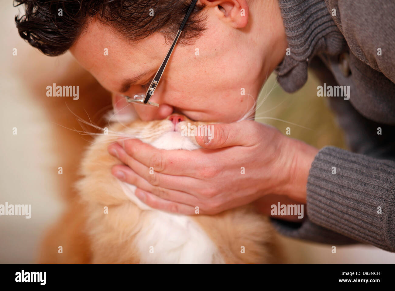 man with siberian cat Stock Photo