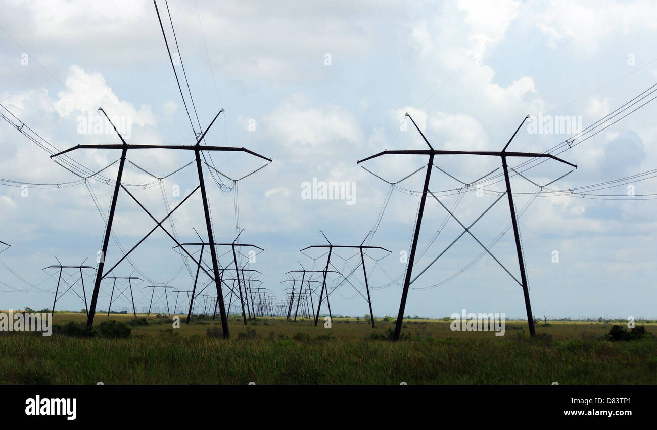 Electric power lines in the Florida Everglades Stock Photo Alamy