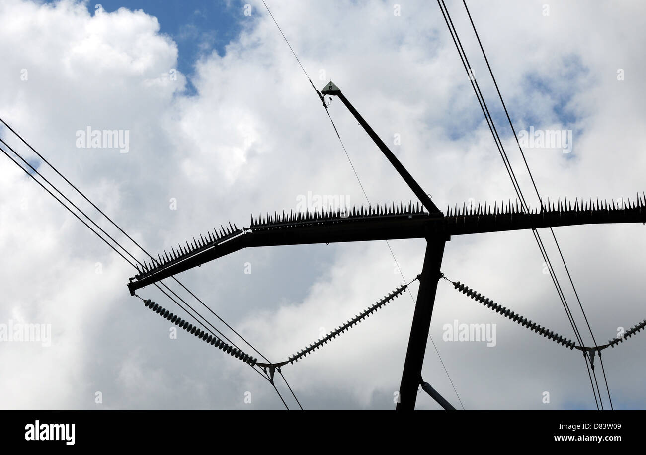 Electric power lines and bird deterrent Stock Photo Alamy