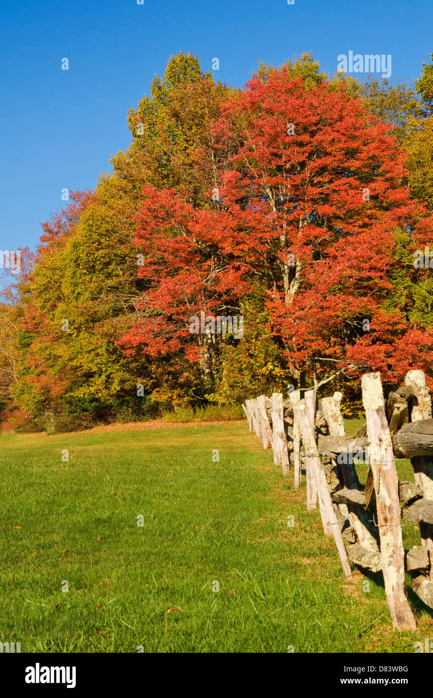 Rural scene with red maple and other trees in autumn colors Stock Photo ...