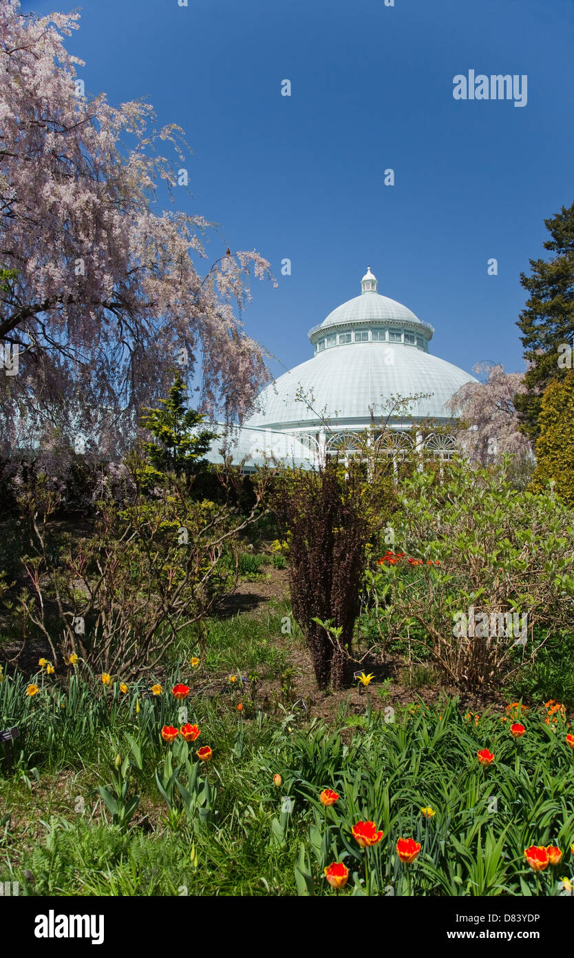 The Enid A. Haupt Conservatory at the New York Botanical Garden in the Bronx Stock Photo