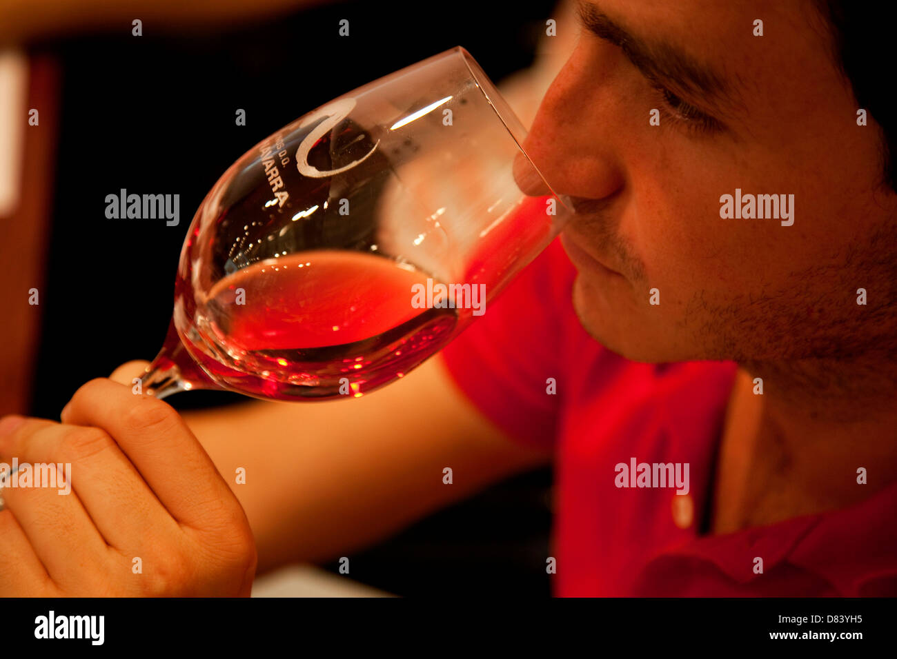 Sommelier tasting wine, wine tasting session. Navarre. Spain Stock Photo