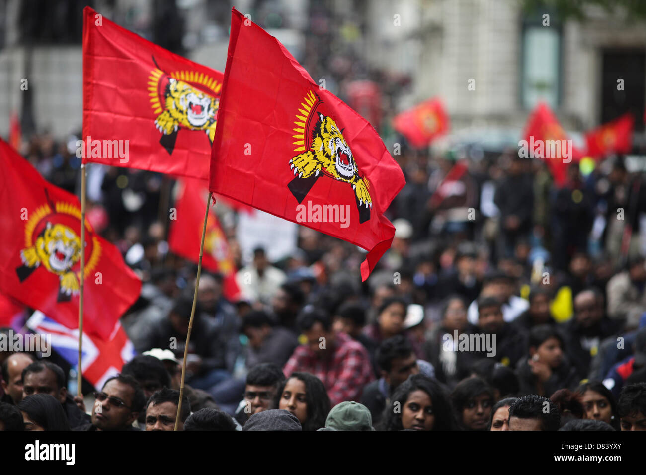 London, UK. 18th May 2013. . Thousands of Tamils march through central London to commemorate those killed during the final stages of the Sri Lankan civil war and to call on Prime Minister David Cameron to boycott the Commonwealth Heads of Government Meeting, to be held on Colombo in November 2013. Credit:  Rob Pinney / Alamy Live News Stock Photo
