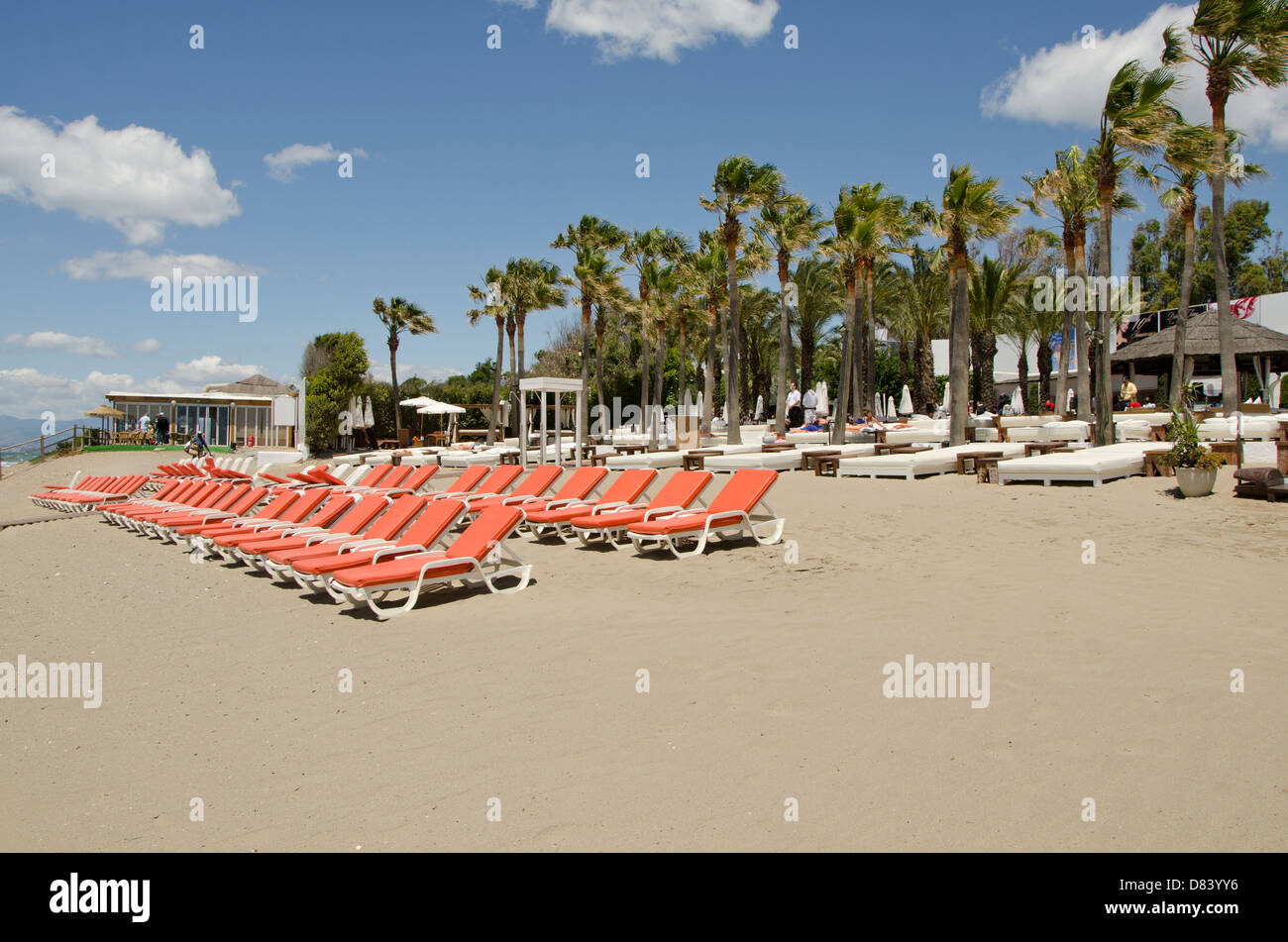 Nikki Beach luxury beach Marbella with red empty and palm trees waving, Costa del Sol, Stock Photo - Alamy